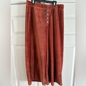 Rewash brand velour corduroy cropped pants